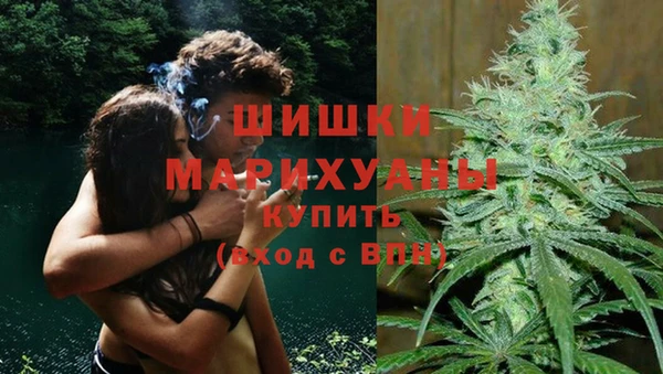 гашик Алзамай