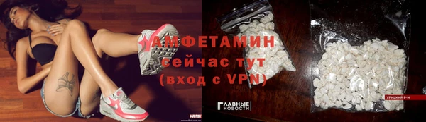 стаф Алексин