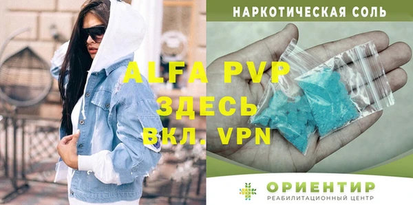 стаф Алексин
