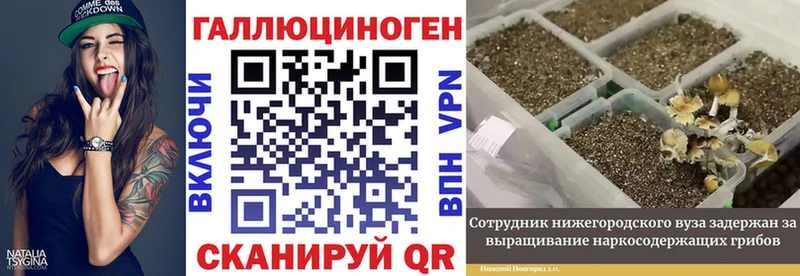 Псилоцибиновые грибы Cubensis Сарапул